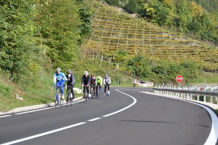 Mezzocorona - Weinstrassentour