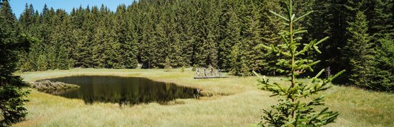 Rennrad Urlaub in Südtirols Süden