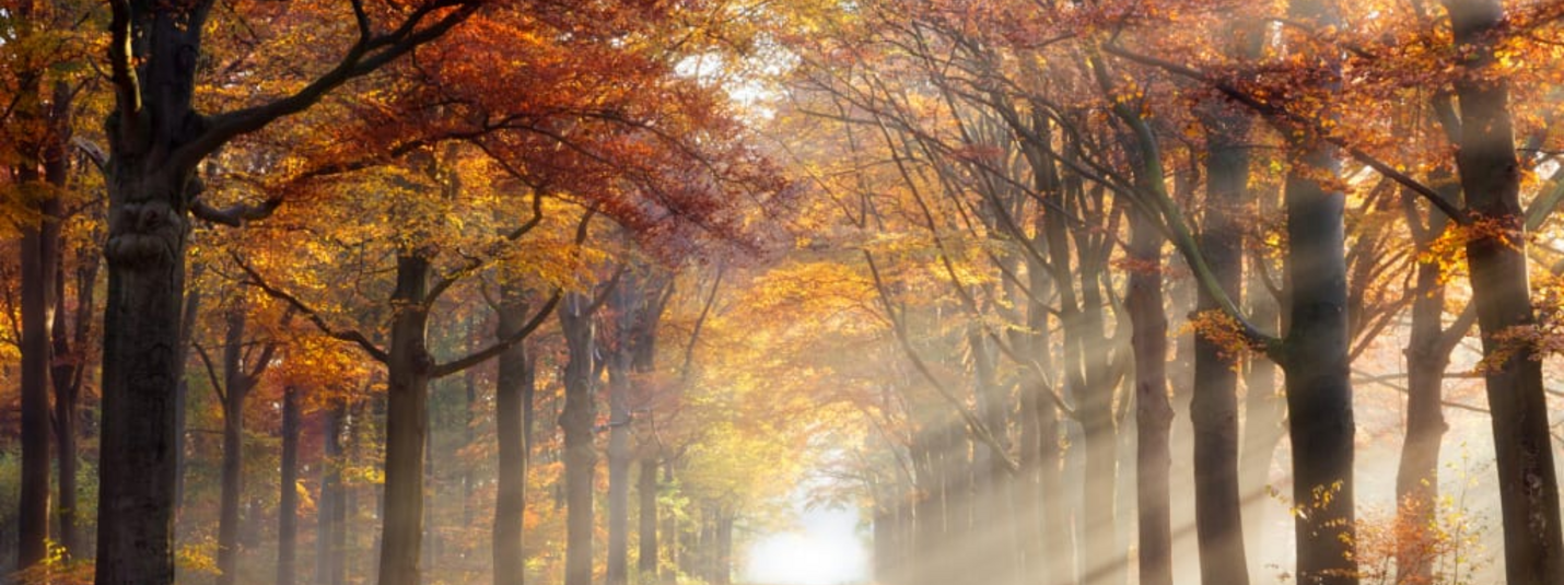 Herbstliche Relax- & Feinschmeckertage