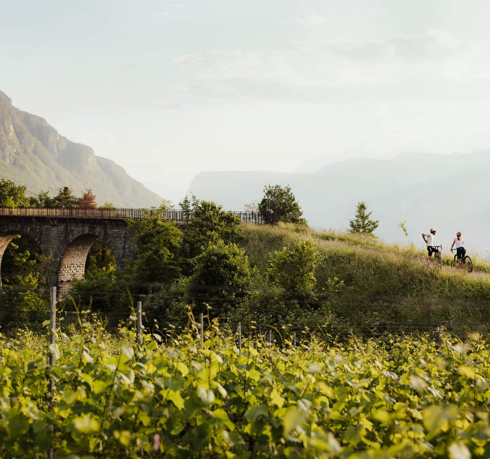 Saisonstart im Teutschhaus © IDM Südtirol - Alto Adige - Alex Moling Saisonstart im Teutschhaus