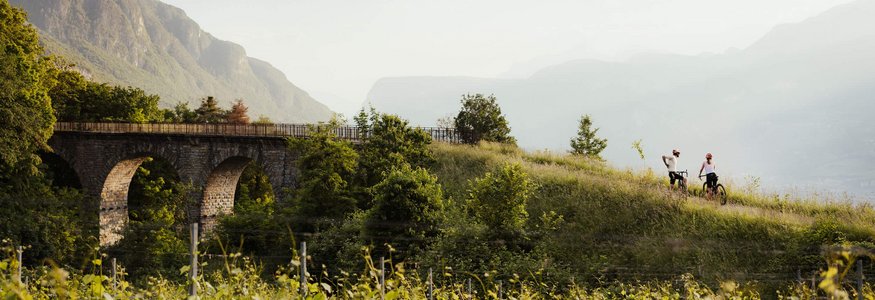 Region-Detail