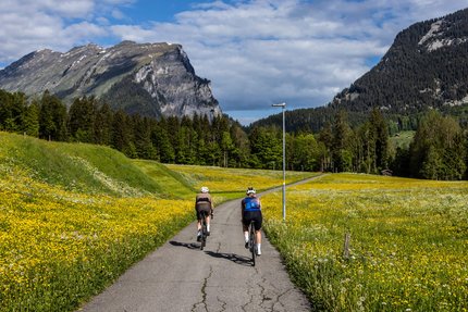 Bregenzerwald