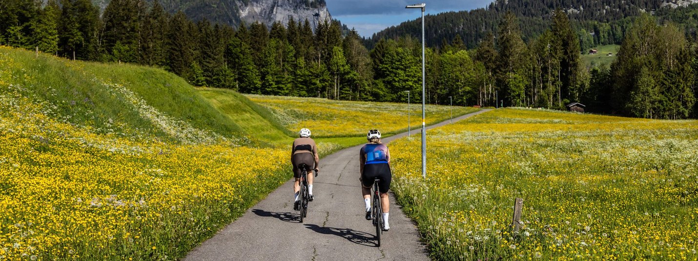 Gravel Odyssee Bregenzerwald Allgäu