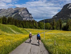 Bregenzerwald