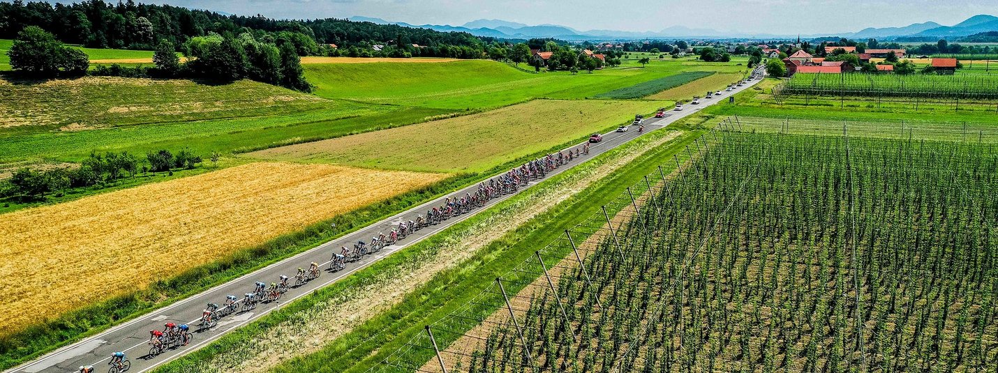 Celje Rennrad Tour