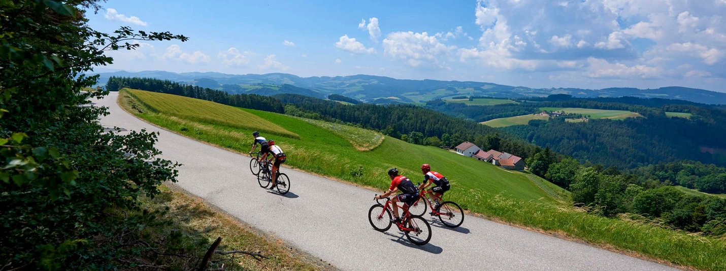 Rennrad Urlaub in der Buckligen Welt