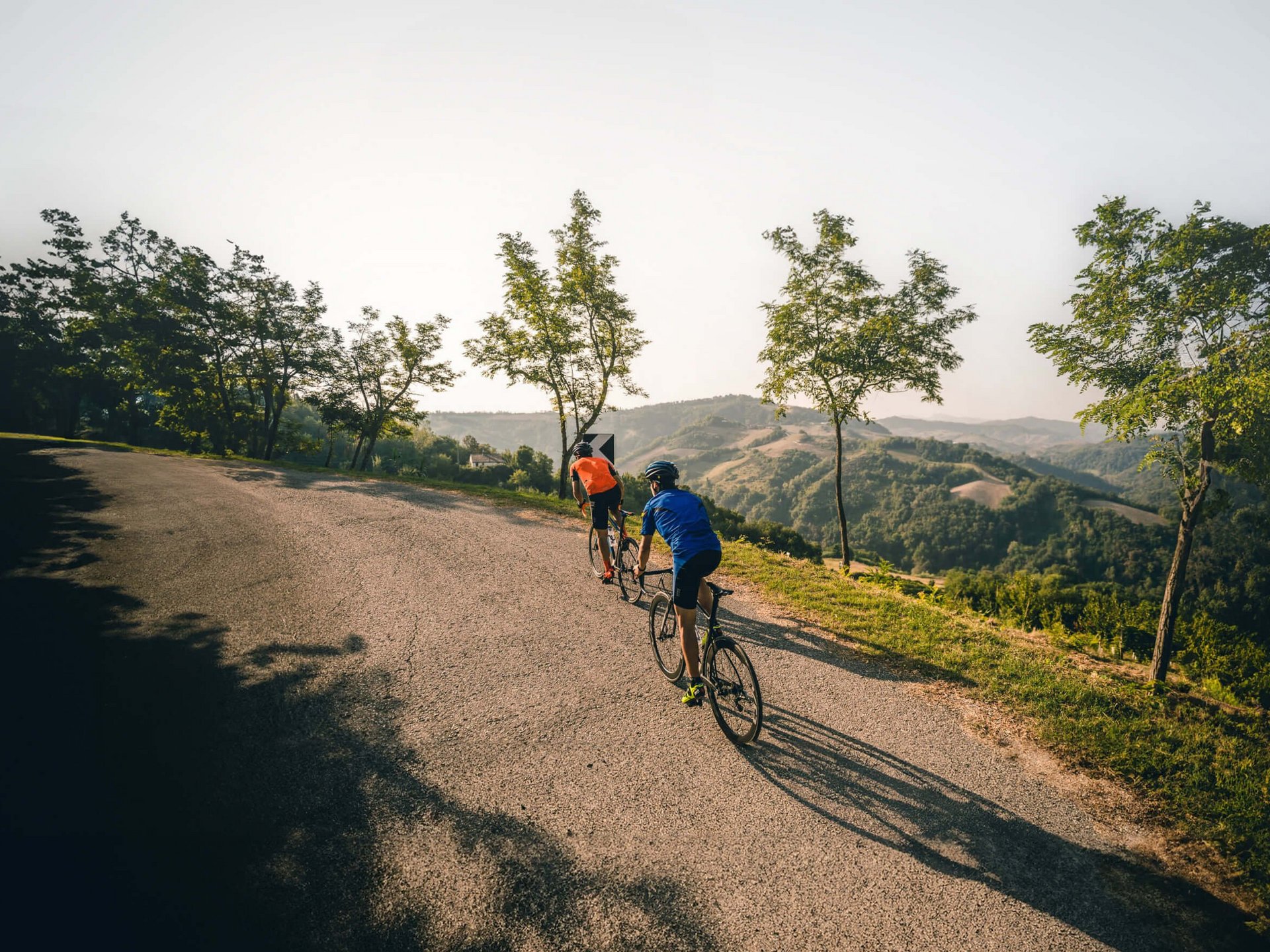 Roadbike Holidays