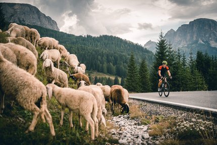 Würzjoch-Tour