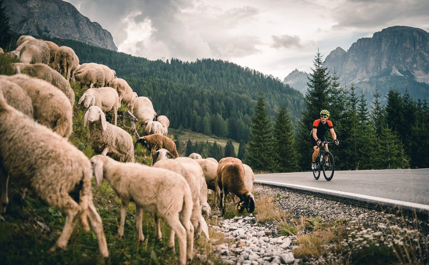Rennrad Urlaub in Alta Badia