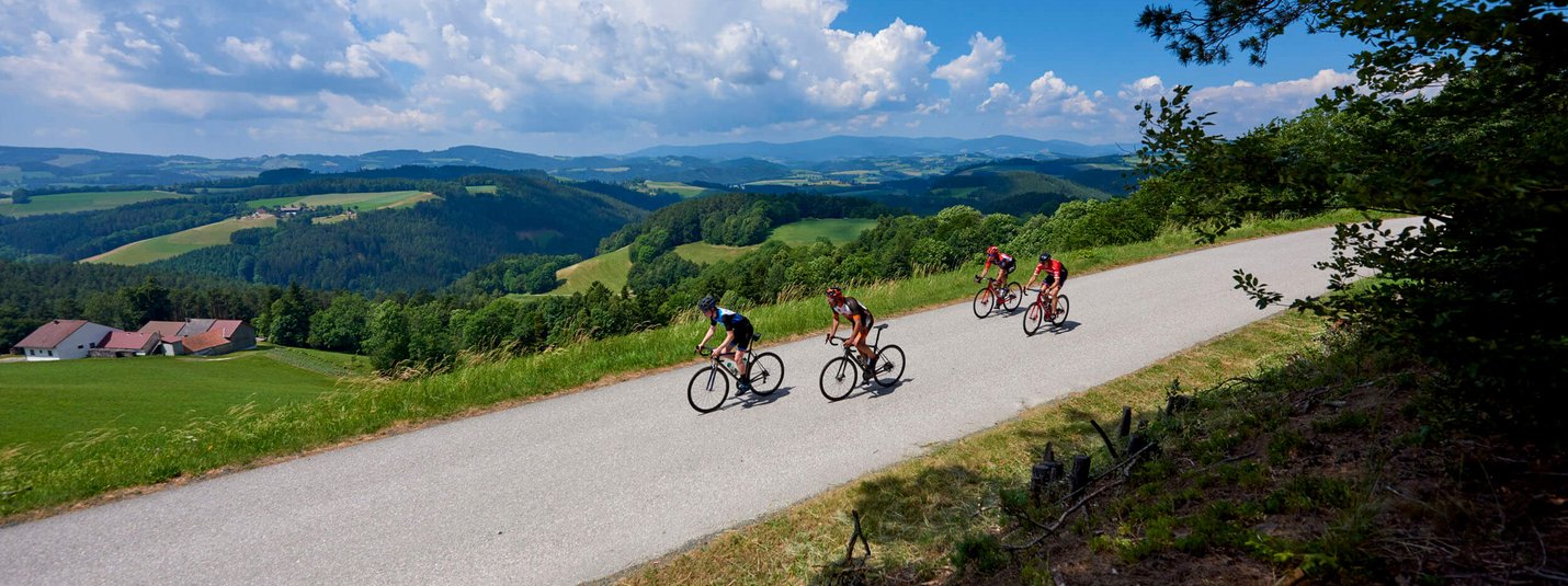 Rennrad Urlaub in Niederösterreich