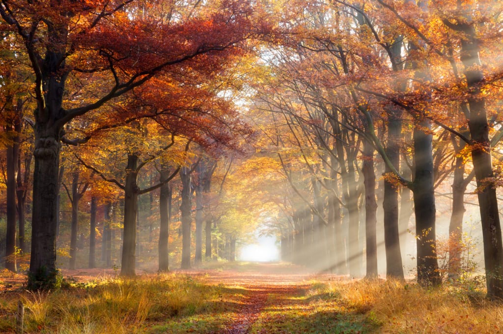 Herbstliche Relax- & Feinschmeckertage